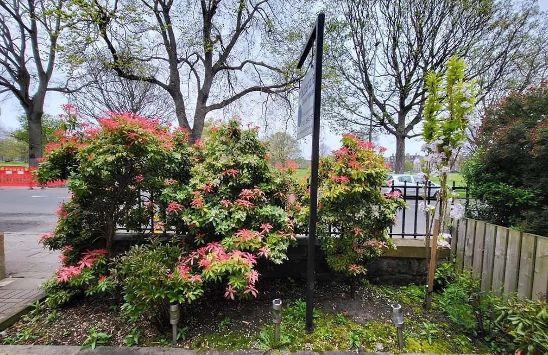 Mackenzie Guest House-1